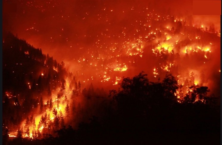 Scorched earth: Record 2 million acres burned in California