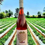 Mahabaleshwar’s Strawberry Wine ‘Alurra’ Shines On Global Stage At Sydney Wine Fair