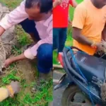 Villagers Rescue Stranded Crocodile In UP’s Etah, Carry It To River On Bike; Watch Video