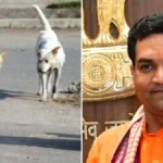 Delhi Govt To Implement SC Order On Stray Dogs In Time-Bound Manner: Development Minister Kapil Mishra