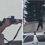 Australia’s Bondi Beach Shooting: 3 Indian Students Among 40 Injured In Sydney Terror Attack That Claimed 15 Lives