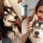 ‘You Were Our Comfort’: Urvashi Dholakia Mourns Death Of Pet Dog Jaeger, Shares Emotional Note